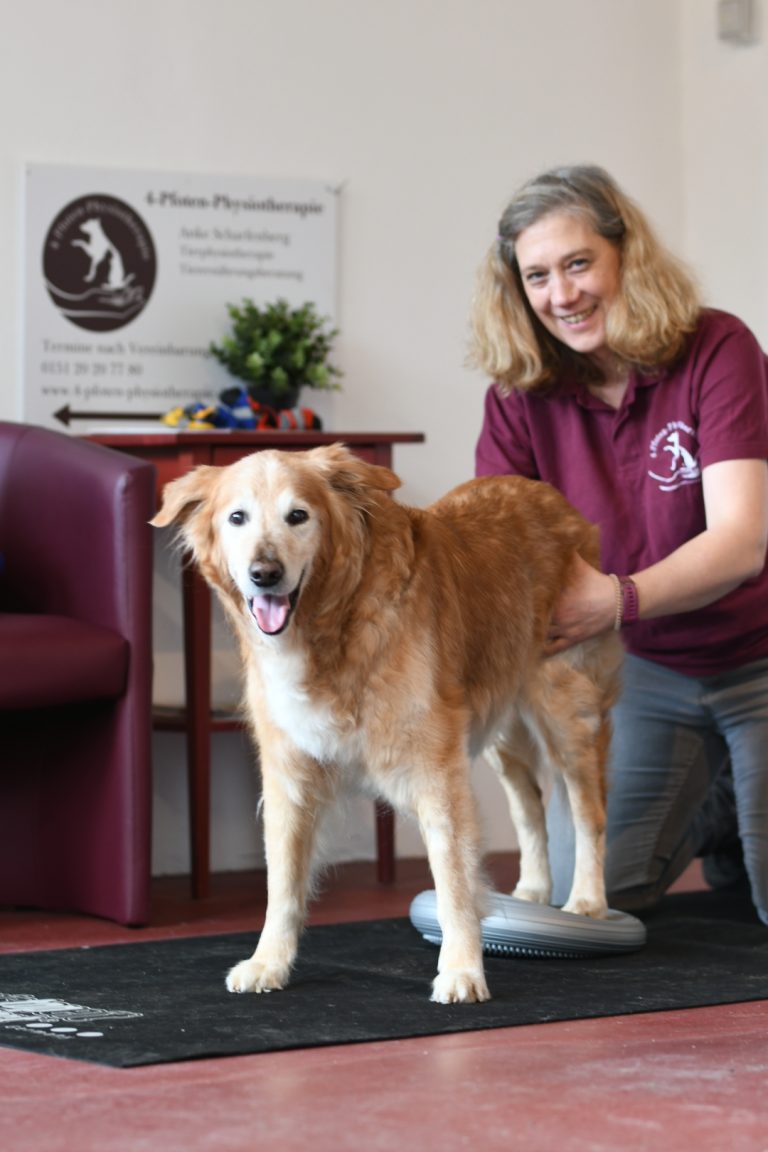 Anke massiert einen Hund in der 4-Pfoten-Tierphysiotherapie